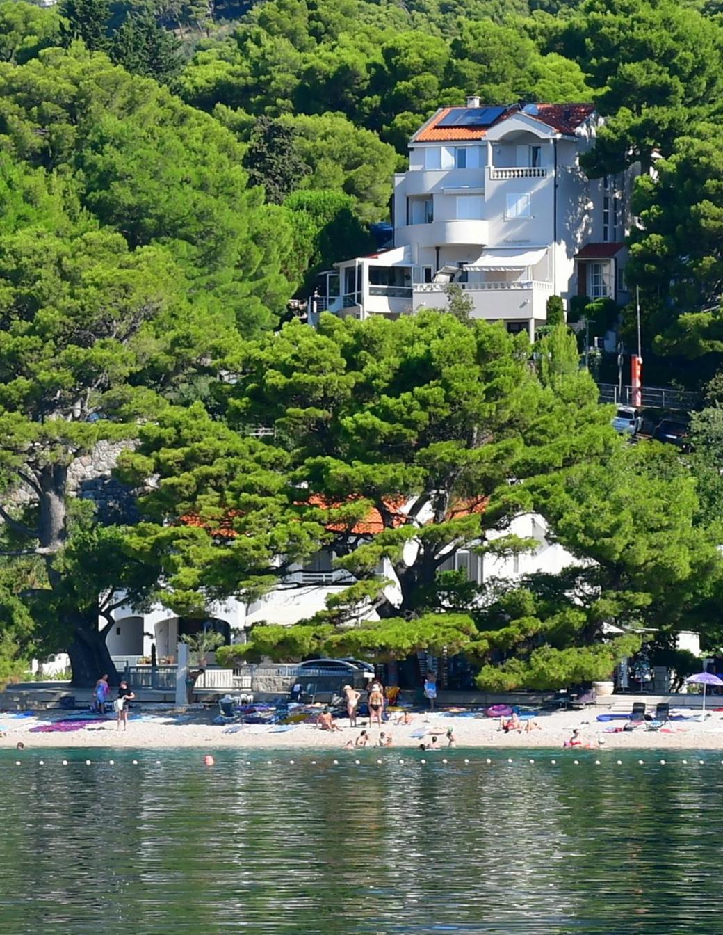 Villa Dalmatino Брела Экстерьер фото